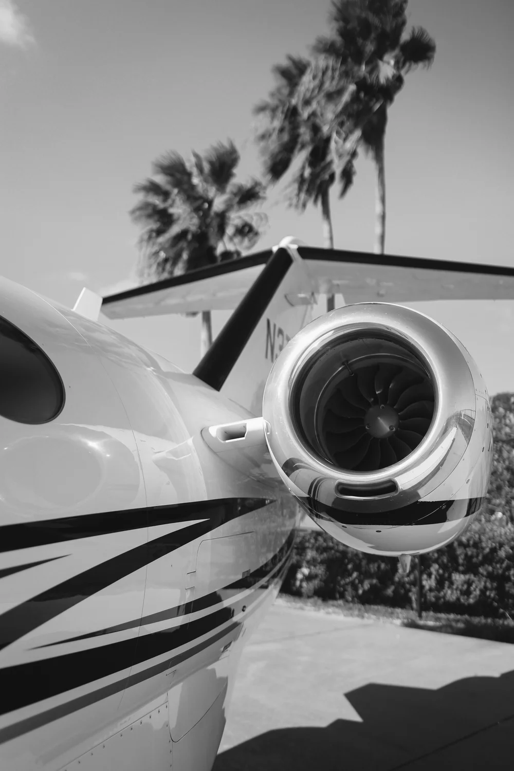 Close-up of a private jet's engine nacelle with palm trees behind